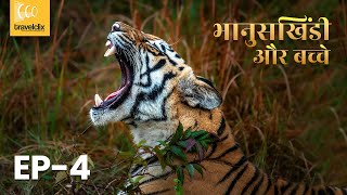 Day 4  Best Tiger Sighting, Nimdhela Gate, Tadoba, Bhanuskhindi & cubs, 4K, नीमढेला, रामदेगी बफर