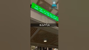 القارئ معاذ صيام 🎧 سورة القيامة تلاوة  خاشعة تذكر بالآخرة ﷽ كَلَّا إِذَا بَلَغَتِ التَّرَاقِيَ ...