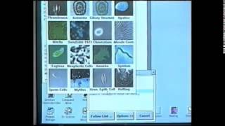 Microcosm, 1992 (extract)