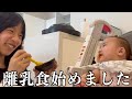 生後6ヶ月になったキャンディーの育児VIog