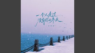 一个人走过没你的冬天（入心版）