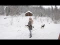 Bying my dream home in the wilderness in Norway ~ Story 1