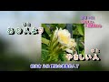 捨てられて長山洋子 字義版