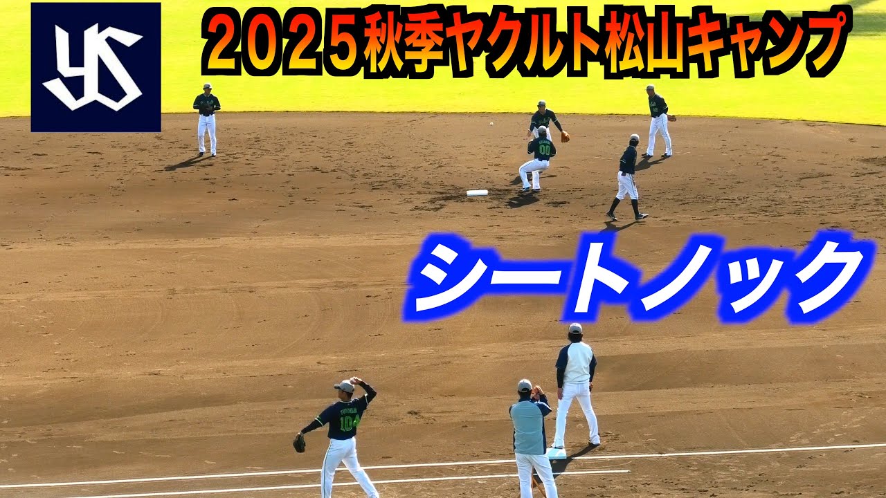 東京ヤクルトスワローズシートノック ！【２０２５秋季ヤクルト松山キャンプ】