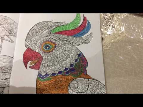 Антистрессовые раскраски. Раскрашиваю попугая🎨