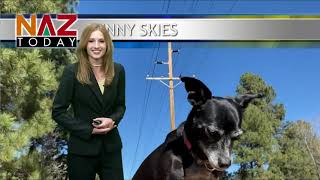 Flagstaff Weather -- November 17, 2021