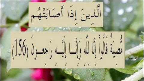 القران الكريم سورة البقرة الاية 156