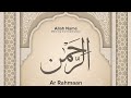 SURAH AR RAHMAN🌸✨️ Omar Hisham Al Arabi #allah #infinitycastle #islam #surah 