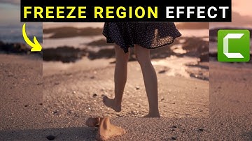 How to Use the Freeze Region Visual Effect in Camtasia 2022 - New Feature in Camtasia 2022