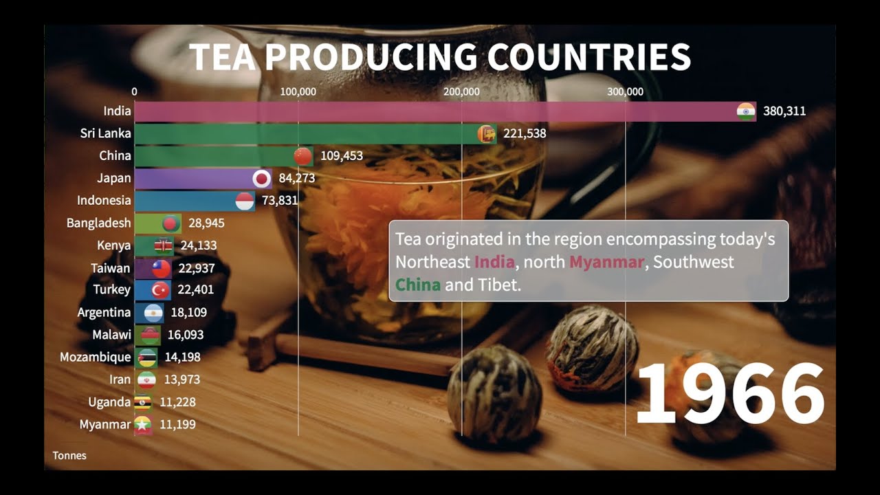 Top 15 Tea Producing Countries + Interesting Facts About Tea YouTube