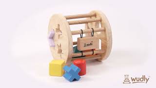 Wooden Shape Sorting Wheel Toy for Kids | SkilloToys.com