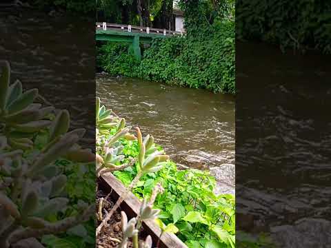 Rio preto, Visconde de Mauá, Maringá rj.