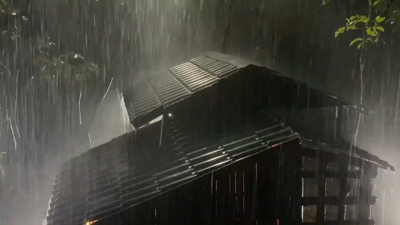 تلاوة سورة البقرة بخشوع مع نزول المطر  | القارئ منصور السالمي