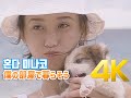 [4K 60FPS]혼다 미나코(本田美奈子) - 僕の部屋で暮らそう MV  4K AI Upscaling