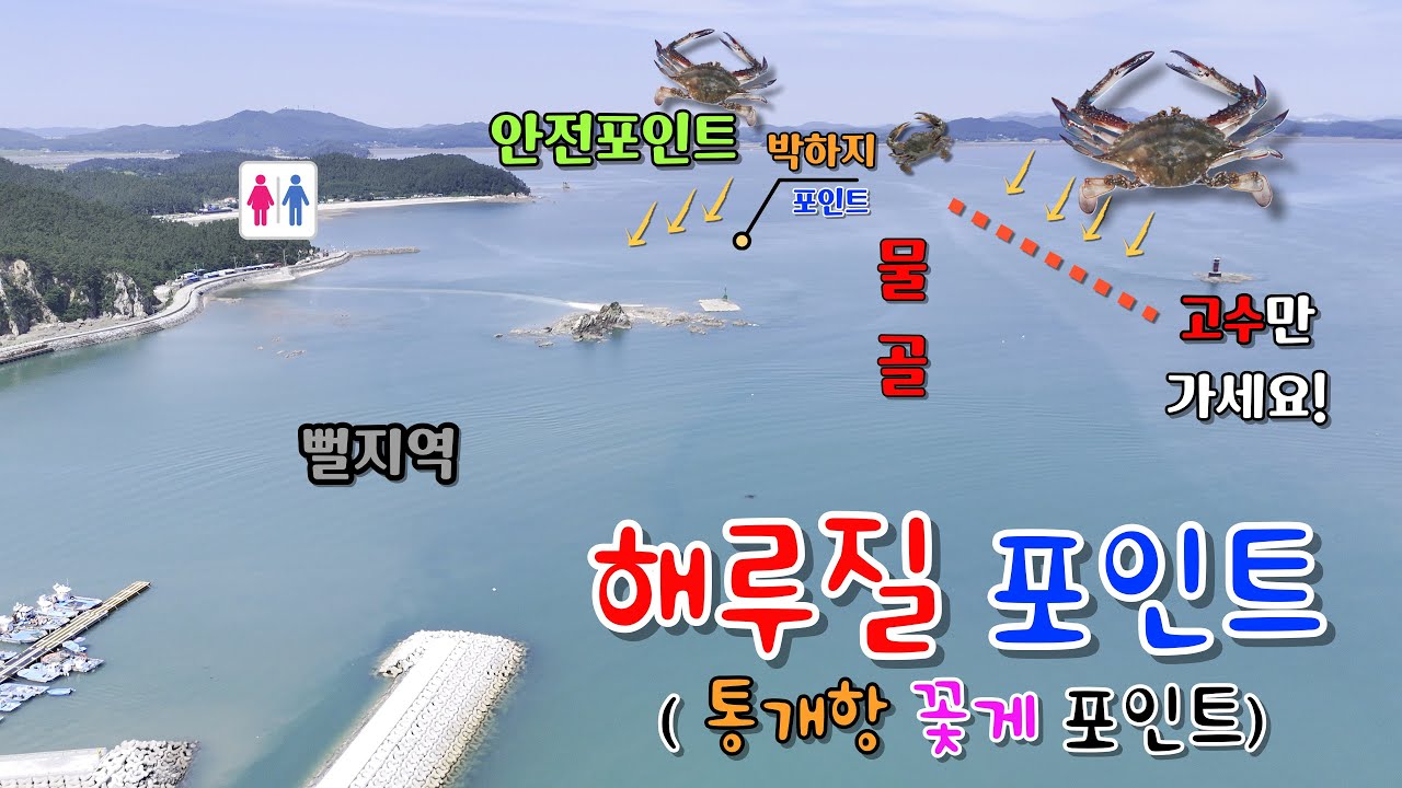 해루질 꽃게 포인트 (통개항) #해루질 #꽃게  #태안 #신진도