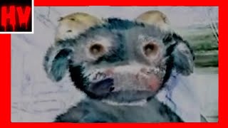 1 2 3 Slaughter Me Street - The Puppet Song Horror Version