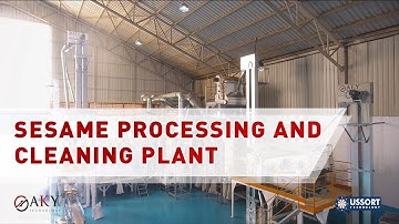 Sesame Processing and Cleaning Plant - AKY Technology