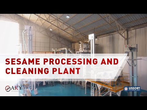 Sesame Processing and Cleaning Plant - AKY Technology