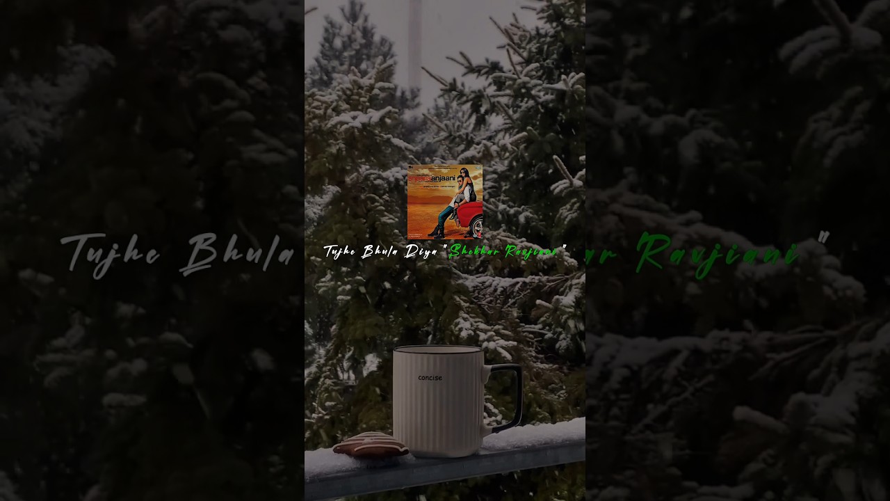 Tujhe Bhula Diya || Mohit Chauhan, Shekhar Ravjiani, Shruti Pathak || 