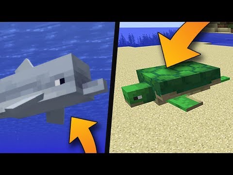 Video: Delfíny, Ktoré Nájdu Poklad! Veľké Opravy Oceánov Minecraftu