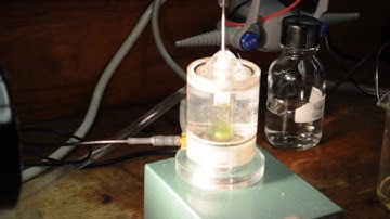 Using the Hansatech O2 electrode with Logger Pro