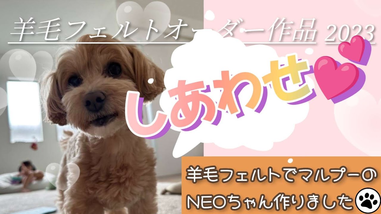 私の宝物♫】羊毛フェルトオーダー作品 マルプーのNEOちゃん。 - YouTube