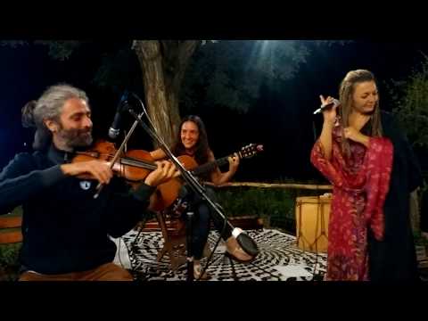 Gabriela Maiztegui - Tu Pálida Voz