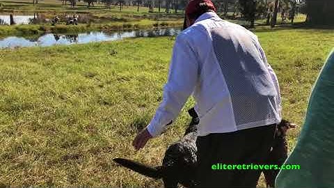 2017 NRC 8th Series 1