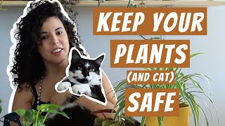 How To Keep Cats Away From Houseplants | Train Your Cat the Right Way | Pet Safe Plants