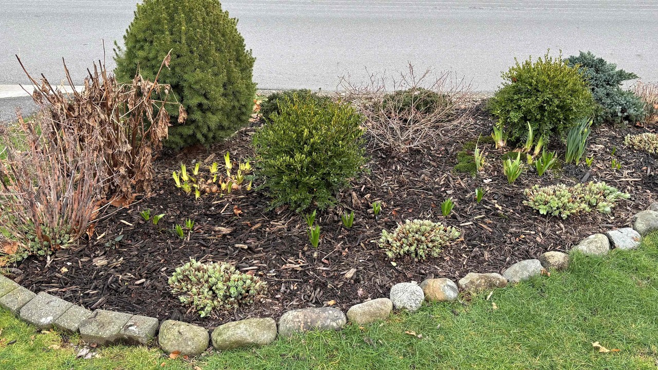 Chelsea Chopped in 2025, 