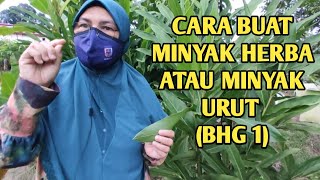 CARA MENYEDIAKAN  MINYAK PANAS - MINYAK URUT ( PART 1) PENERANGAN KAEDAH PANAS DAN SEJUK