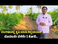  1   farming in karnataka  fruits farming kannada agriculture pomegranate farmer