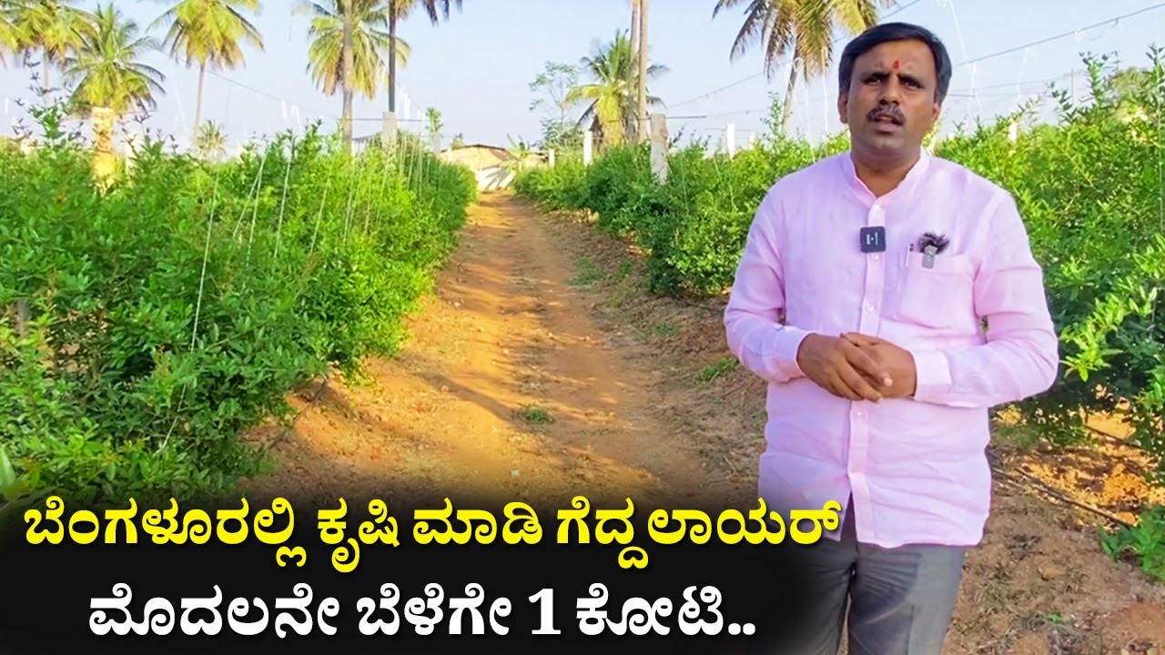 ಮೊದಲನೇ ಬೆಳೆಗೇ 1 ಕೋಟಿ | Farming in Karnataka | Fruits farming Kannada Agriculture pomegranate farmer