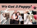 WE GOT A PUPPY FROM OHIO! Getting A Red Merle Australian Shepherd (Aussie) with my boyfriend!