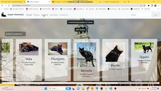 In Progress - Java Spring Boot, Postgres, React Project