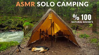 Camping Alone in the Rain, Tent with Stove, Resting in an awning shelter with My Dog ASMR