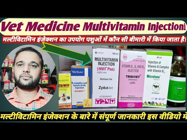 Vet Medicine:- Multivitamin injection का उपयोग पशुओं में कौन सी बीमारी में  किया जाता है! - YouTube