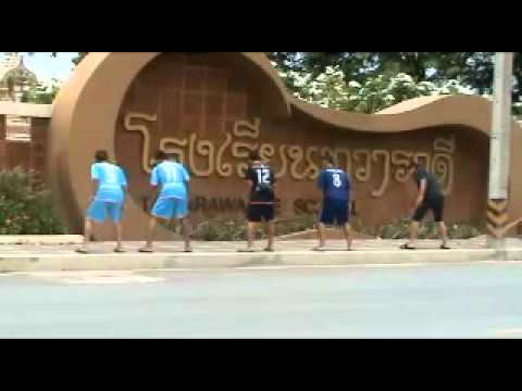 ระบบหมุนเวียนเลือด