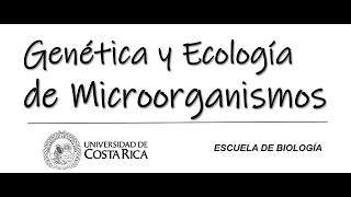 Tutorial metabarcoding dada2