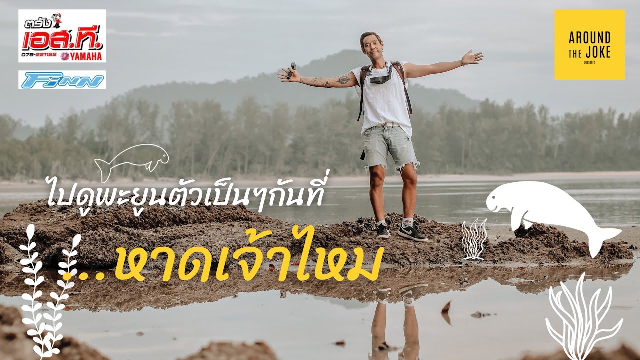 ไปดูพะยูนตัวเป็นๆกันที่...หาดเจ้าไหม จังหวัดตรัง - YouTube