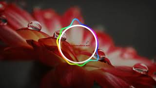 Download DDLJ ringtone | Best Ringtones download Free for mobile
