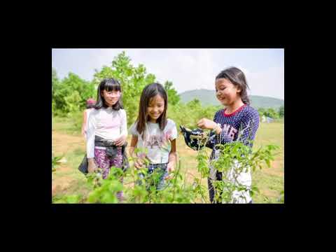 Giới thiệu về trường đồi Spring Hill - youtube