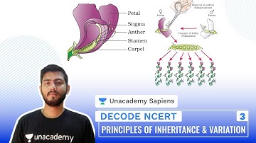 Principles of Inheritance & Variation Part 3 | Decode NCERT | NEET Biology | Sourav Sir | Unacademy