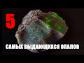 5 самых выдающихся опалов