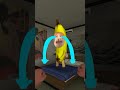 Bananacat and Magic Case #gmod 😸🍌
