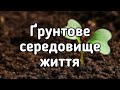 5 клас. Ґрунтове середовище життя організмів.