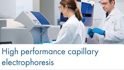 High performance capillary electrophoresis  – but easy