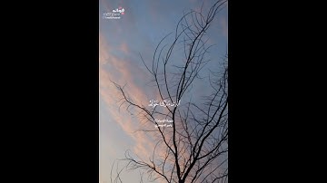 ﴿سبحان الذي أسرى بعبده ليلا...﴾ [الإسراء:١] || القارئ ياسر الدوسري