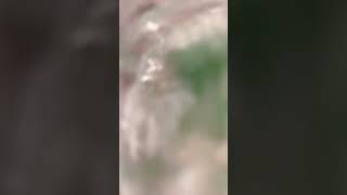 5 seconds shaking water ASMR