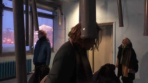 Migratones, a work by Bosch & Simons in collaboration with Sergey Kostyrko